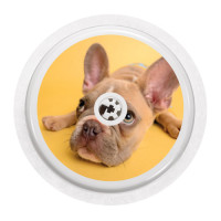 FreeStyle Libre Sticker - bulldog