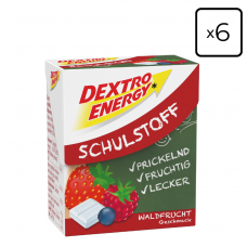 Dextro Energy - Schulstoff Forest Fruit